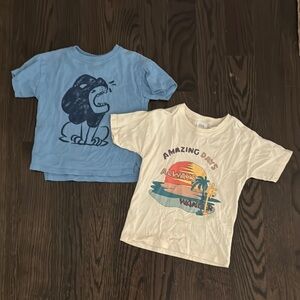 Zara Blue and White Short Sleeve Tees